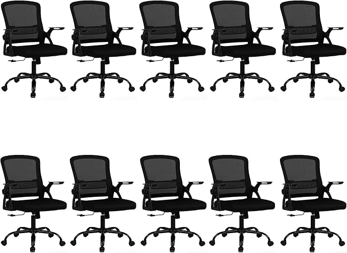 Ergonomic Desk Chair with Lumbar Support, Breathable Mesh with Flip-up Armrests and Mid Back, Comfortable Task Computer Height Adjustable Swivel Chair (10, Black)-DeskLoop Office
