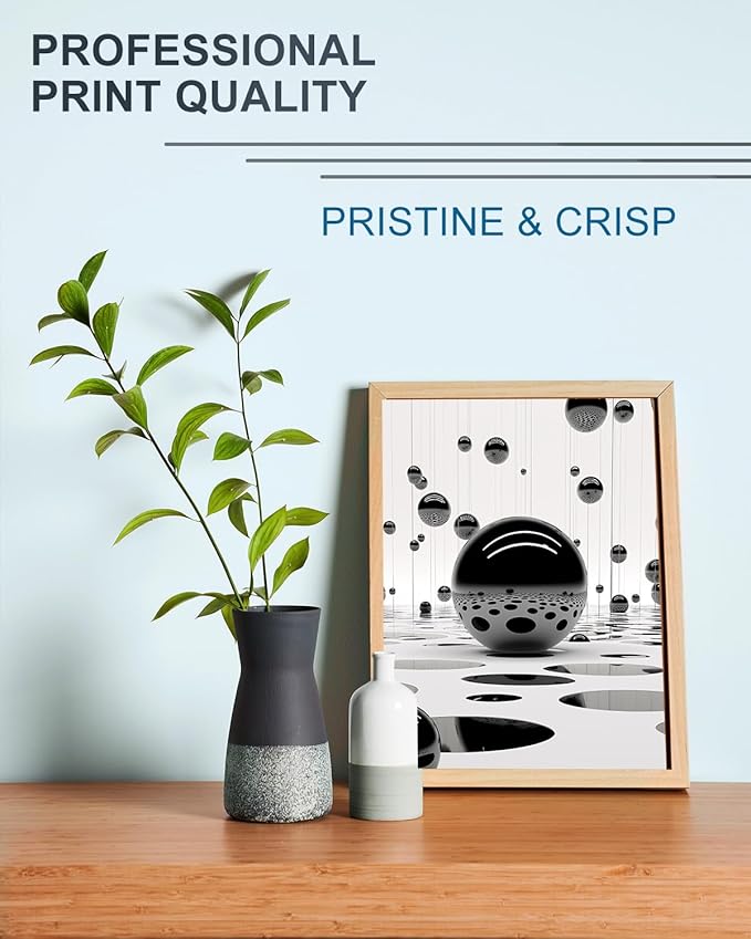 LEMERO 245XL Ink Cartridge Replacement for Canon 245XL Black Ink PG-245 245 XL Black Ink Cartridge Work with Canon Pixma MG2522 MG2500 MG2520 MX490 MX492 TR4520 TR4500 TS3322 TS202 Printer Ink (2Pack)-DeskLoop Office