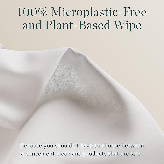 Biom Biodegradable Hand Sanitizing Mini Wipes 8-Pack Refill Kit - Kid-Safe | Plant-Based Hand Wipes for Home & Travel | Natural, Non-Toxic Wet Wipe with Aloe for Soft Skin | Eucalyptus Chill-DeskLoop Office