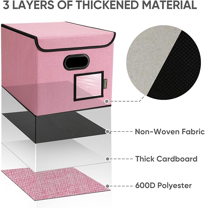 BALEINE File Organizer Box with Lid, Collapsible File Folder Organizer with Plastic Slide, Hanging File Folder Box for Office Document Storage (2 Pack, Pink)-DeskLoop Office