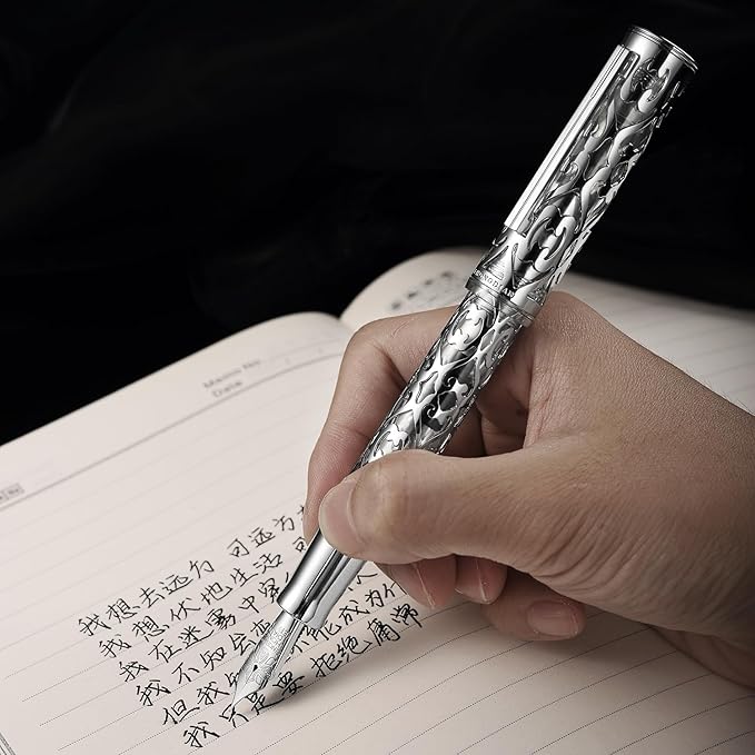 Hongdian D1 Piston Fountain Pen Fine Nib, Hollow Skeleton & Resin with Metal Case Set (Silver)-DeskLoop Office