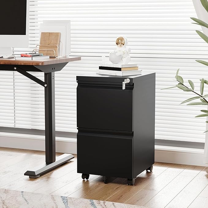 Letaya 2 Drawer Mobile File Cabinet with Lock, Under Desk Metal Rolling Filing Cabinets for Home Office Organizer Letters/Legal/A4 (Black- Requires Installation)-DeskLoop Office