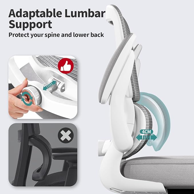 Office Chair - Ergonomic Desk Chair with Adjustable Lumbar Support, Mesh Computer Chair, Executive Chair for Home Office Comfortable Lumbar Support(Grey)-DeskLoop Office