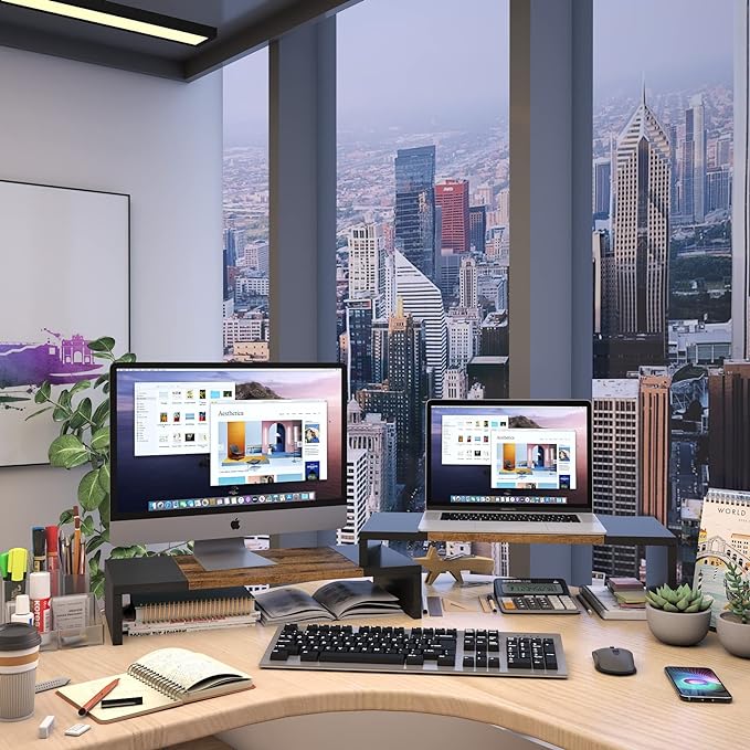 WESTREE Dual Monitor Stand - Riser 2 Shelf Computer with Adjustable Length and Angle, Stands for Monitors, Desktop Organizer PC, Computer, Laptop-DeskLoop Office