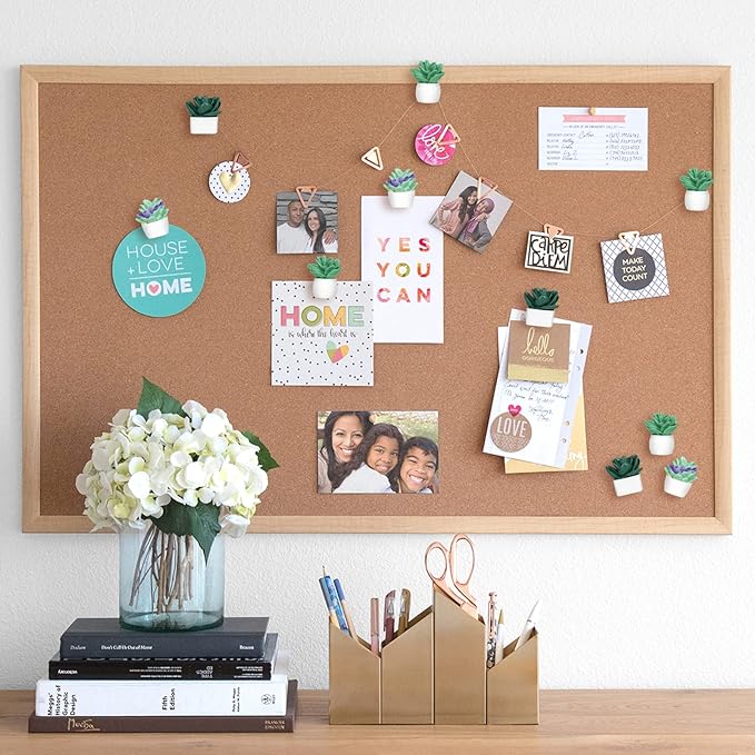 20 Pieces Cute Succulent Plants Decorative Push Pins Colorful Floret Thumbtacks for Photo Wall, Feature Wall, Whiteboard, Cork Board, Map, Bulletin Board, Office or Home (Three Assorted Styles)-DeskLoop Office