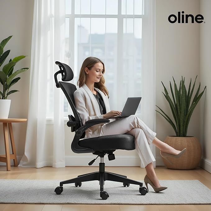 Oline ErgoAir Ergonomic Office Chair – Adjustable Lumbar Support, Flip-Up Armrests, Mesh Computer Desk Chair, Swivel Rolling Executive Gaming Chair for Home & Office (Black)-DeskLoop Office