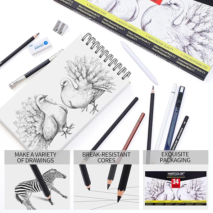 Drawing Sketching Pencils Set, 34 Pieces Pro Art Pencil Kit - Graphite Pencils (14B-4H), Charcoal Pencils, Charcoal Sticks, Artist Pencils for Beginners & Pro Artists-DeskLoop Office