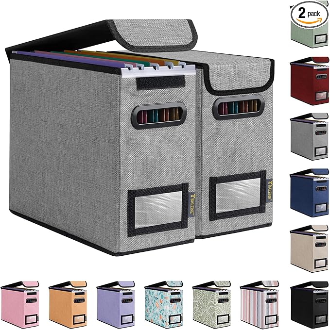 BALEINE File Organizer Box with Lid, Collapsible File Folder Organizer with Plastic Slide, Hanging File Folder Box for Office Document Storage (2 Pack, Grey, S)-DeskLoop Office