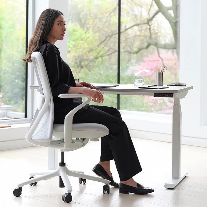 Branch Verve Chair - High Performance Executive Office Chair with Contoured Seat Back and Adjustable Lumbar Rest - High Density Foam Cushion with Aluminum Base - Up to 275 lbs - Mist-DeskLoop Office