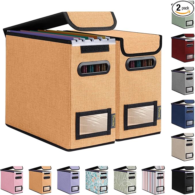 BALEINE File Organizer Box with Lid, Collapsible File Folder Organizer with Plastic Slide, Hanging File Folder Box for Office Document Storage (2 Pack, Orange, S)-DeskLoop Office