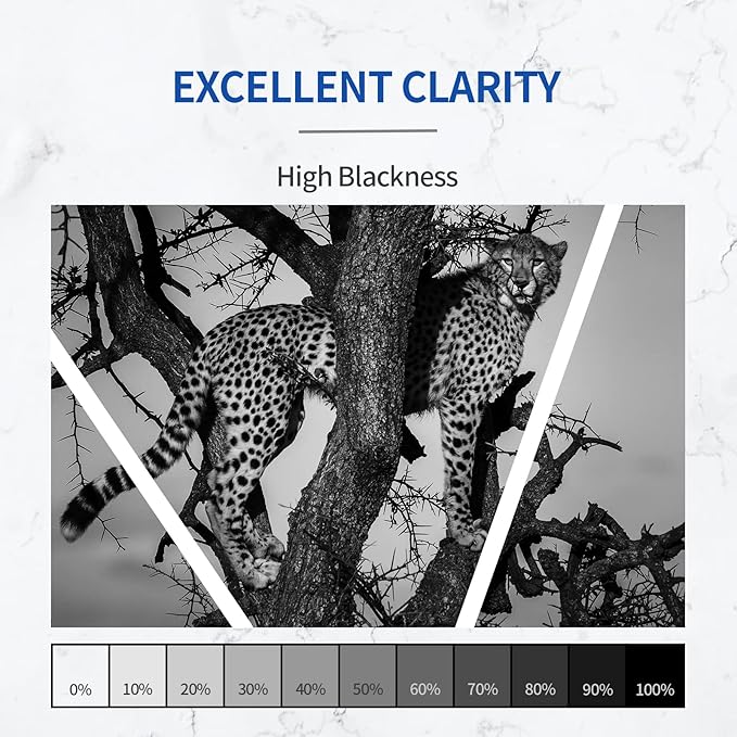 067H 067 Black Toner Cartridge 1-Pack with Chip Compatible Canon 067H CRG-067H Toner Work with Canon imageCLASS MF656Cdw MF653Cdw MF654Cdw LBP632Cdw LBP633Cdw Printer, CRG067H Ink, Black-DeskLoop Office