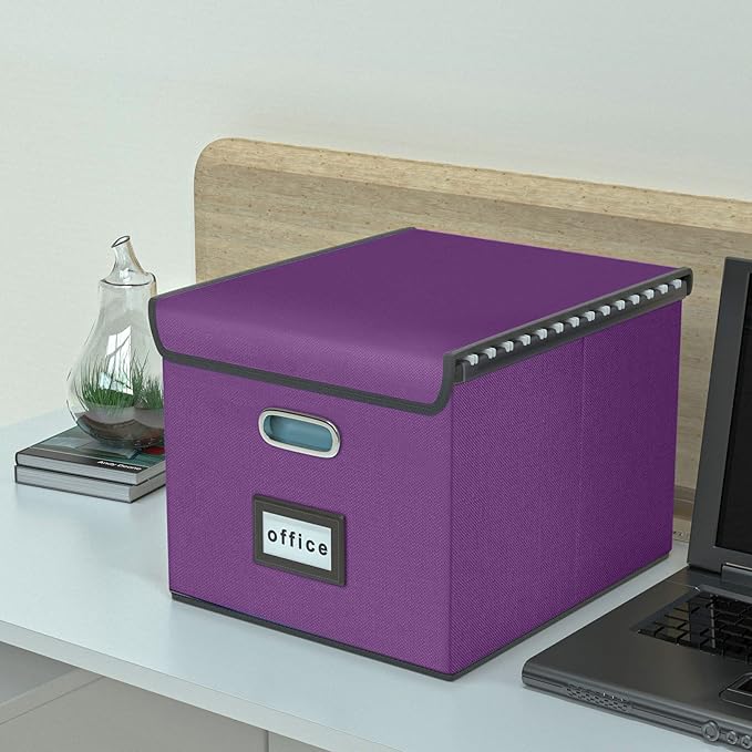 Huolewa File Organizer Box with Lid, Collapsible File Folder Organizer for Office Document Storage, Filing Box with Plastic Slide for Letter/Legal Size Hanging Files, Purple-DeskLoop Office