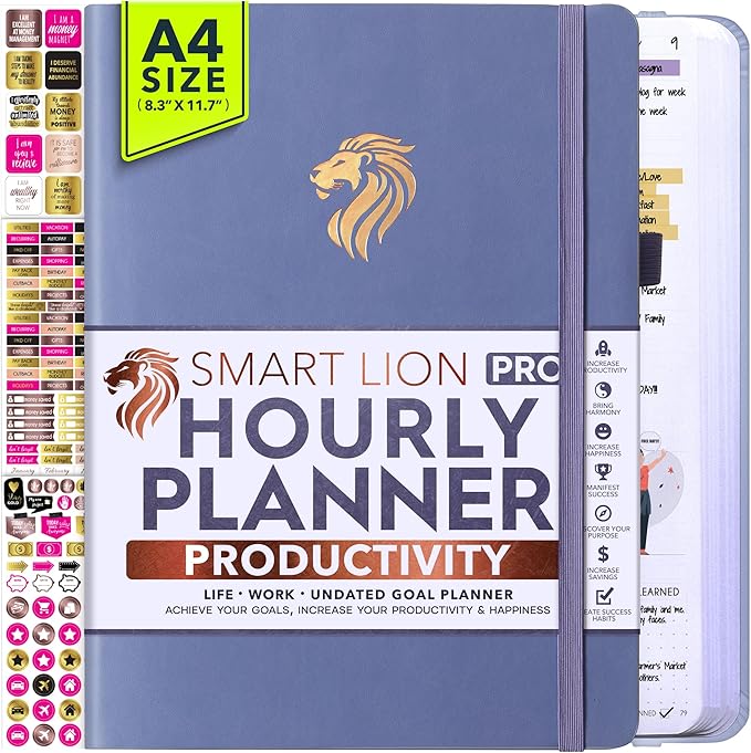 Hourly Planner - Undated Daily, Weekly & Monthly Planner with Budget Section | A 12 Month Journey to Increase Productivity & Happiness | Life Organizer & Gratitude Journal - Vertical Format-DeskLoop Office