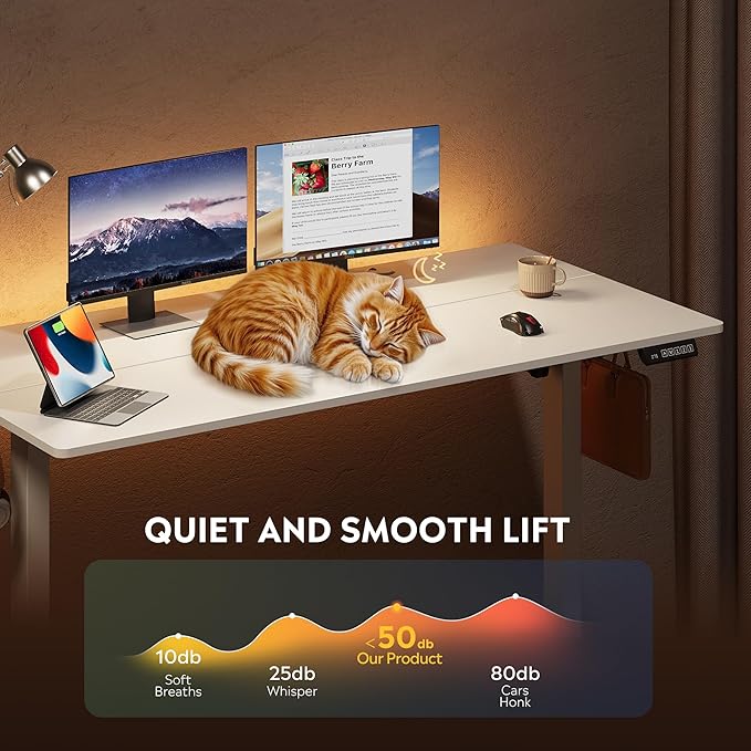 DEVAISE 55 Inch Electric Standing Desk, 3 Adjustable Height Stand up Desk for Home Office, Ergonomic Sit to Stand Desk with LED Touchscreen, Headphone Hook, 3 Memory Preset Computer Desk (White)-DeskLoop Office