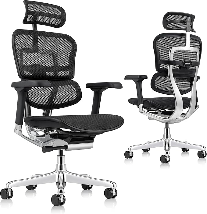 Ergohuman Eurotech ME7ERG GEN2 High Back Mesh Office, Computer, or Gaming Chair w/Tilt Tension Control & Lock, Back Angle/Height, Swivel Arms, Seat Height,/Depth, and Arm Height Adjustments, Black-DeskLoop Office