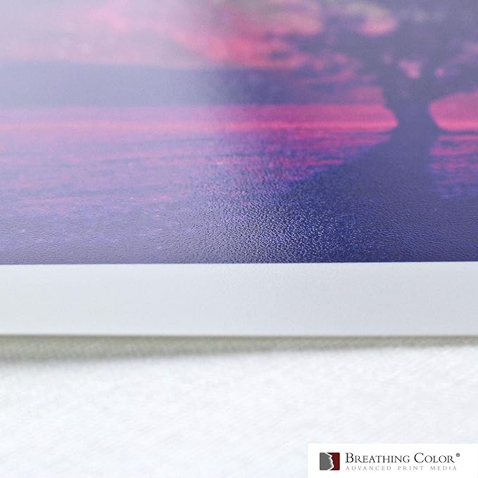 Vibrance Luster Photo Printer Paper 10 mil 255 gsm Luster Finish Premium Photo Paper Sheets 17 inches x 22 inches 50 sheets Works with All Inkjet Printers Including Professional Makes and Models-DeskLoop Office