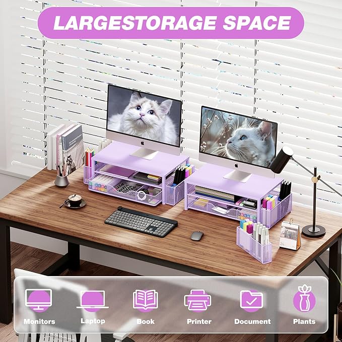 Desk Organizers and Accessories, 2-Tier Computer Monitor Stand Riser with Drawer and 2 Pen Holders, Laptop Stand, Office Desk Accessories for Office Supplies, Purple-DeskLoop Office