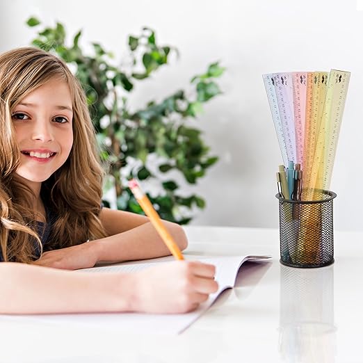 Mr. Pen- Plastic Rulers, 12 Inch, 6 Pack, Pastel Colors, Metric & Imperial, Clear Ruler Set, Cute Ruler 12 Inch-DeskLoop Office