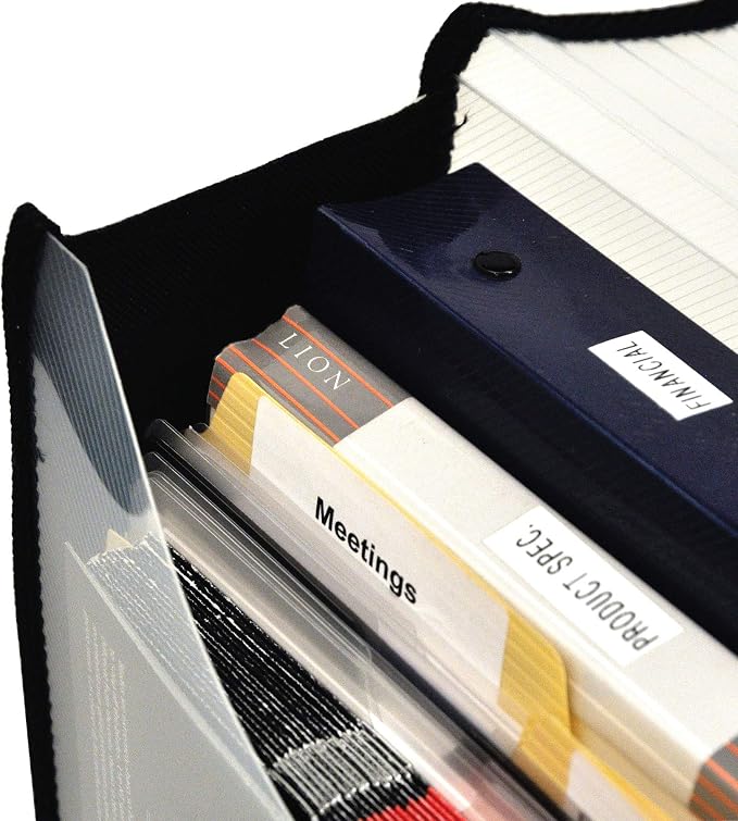 Lion Expand-N-File Poly Expanding Wallet - Image 4