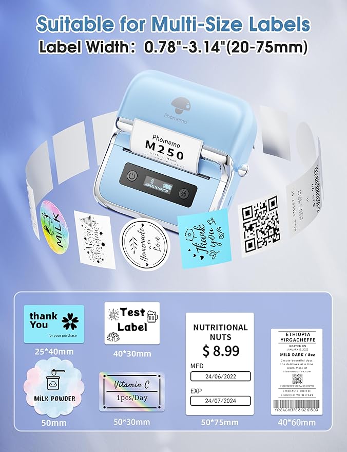 Phomemo M250 Label Maker, 3" Thermal Barcode & Address Printer - Portable Label Maker for Business, Home & Logos, Sticker Printer Compatible with Phones & PCs, with 100 Labels, 40x30mm-DeskLoop Office