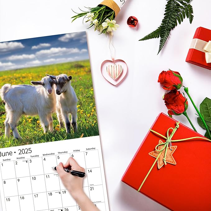 2025 Wall Calendar,Calendar 2025, January 2025 - December 2025, Wall Calendar Baby Moo Moos, 12" x 24" Opened,Full Page Months Thick & Sturdy Paper for Calendar Organizing & Planning-DeskLoop Office