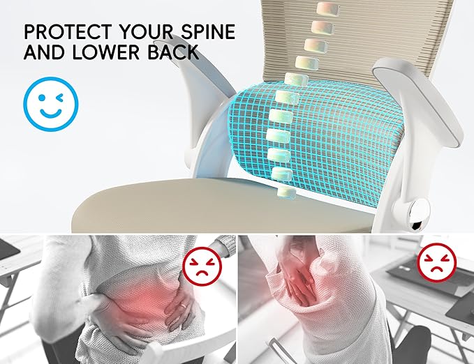 TRALT Office Chair - Ergonomic Office Chair with Back Support, Computer Chair - Home Office Desk Chairs, 330lbs Wide Seat Big and Tall Office Chairs with Headrest, Comfy Desk Chairs (Beige)-DeskLoop Office