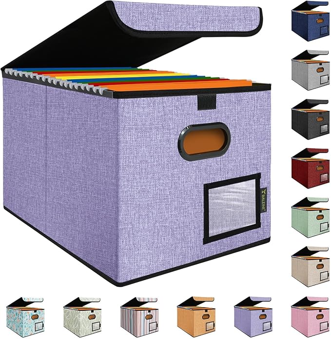 BALEINE File Organizer Box with Lid, Collapsible File Folder Organizer with Plastic Slide, Hanging File Folder Box for Office Document Storage (1 Pack, Purple)-DeskLoop Office