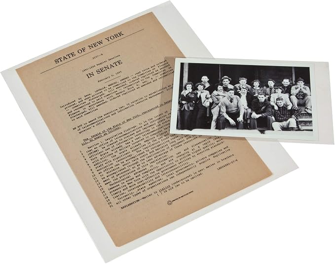 Gaylord Archival 3 mil Archival Polyester L-Sleeves by GaylordArchival