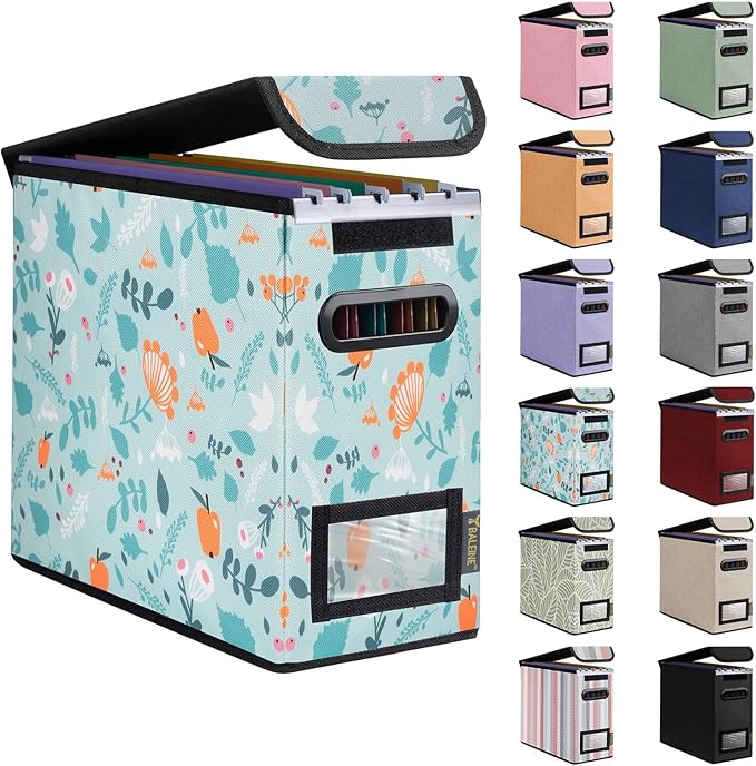 BALEINE File Organizer Box with Lid, Collapsible File Folder Organizer with Plastic Slide, Hanging File Folder Box for Office Document Storage (1 Pack, Spring Stroll, S)-DeskLoop Office