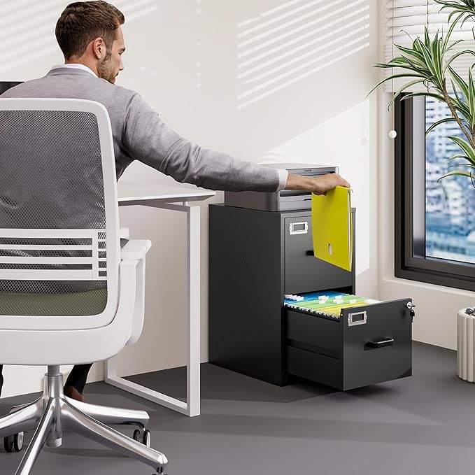 2 Drawer File Cabinet with Lock Vertical Filing Storage Cabinet Office Home Steel Vertical File Cabinets for Letter Size File Cabinet Locked,Assembly Required-DeskLoop Office