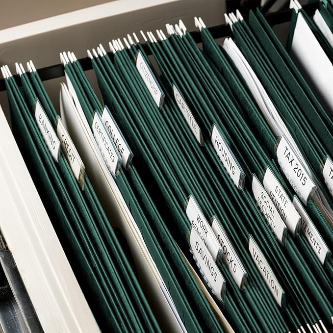 HERKKA Extra Capacity Hanging File Folders, 30 Pack Reinforced Hang Folders with Heavy Duty 1 Inch Expansion, Designed for Bulky Files, Medical Charts, Letter Size, Green-DeskLoop Office