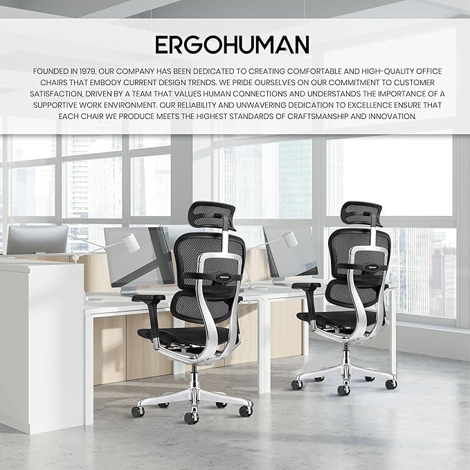 Ergohuman Eurotech ME7ERG GEN2 High Back Mesh Office, Computer, or Gaming Chair w/Tilt Tension Control & Lock, Back Angle/Height, Swivel Arms, Seat Height,/Depth, and Arm Height Adjustments, Black-DeskLoop Office