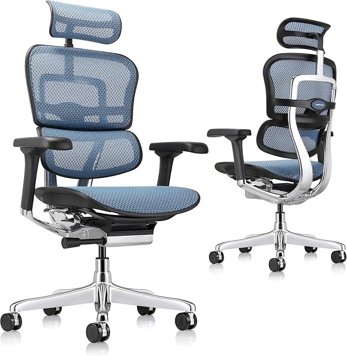 Ergohuman Eurotech ME7ERG GEN2 High Back Mesh Office Chair with Tilt Tension Control, Tilt Lock, Back Angle, Back Height, Synchro Tilt, Seat Height, Seat Depth, and Arm Height Adjustments, Blue-DeskLoop Office