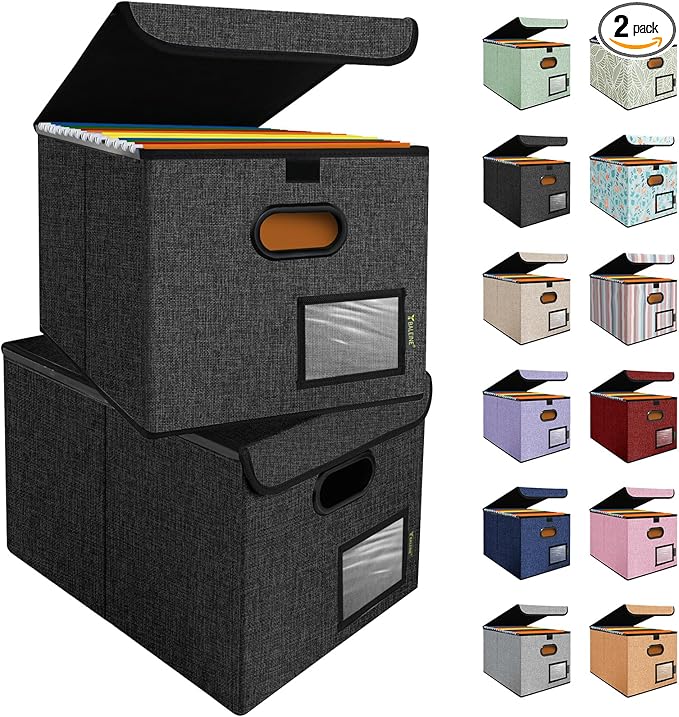 BALEINE File Organizer Box with Lid, Collapsible File Folder Organizer with Plastic Slide, Hanging File Folder Box for Office Document Storage (2 Pack, Black)-DeskLoop Office