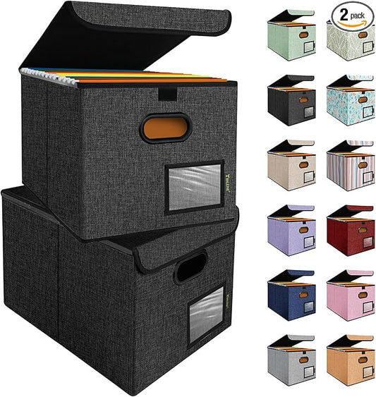 BALEINE File Organizer Box with Lid, Collapsible File Folder Organizer with Plastic Slide, Hanging File Folder Box for Office Document Storage (2 Pack, Black)-DeskLoop Office