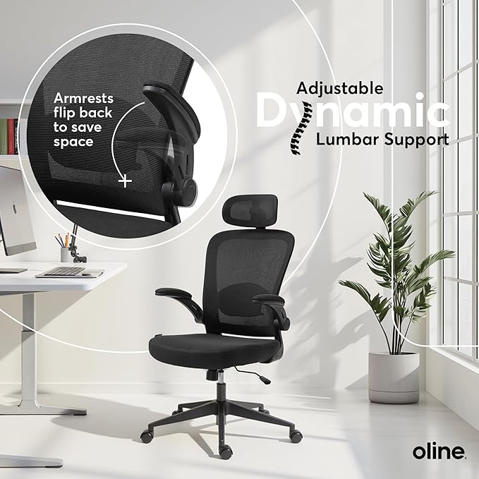 Oline ErgoAir Ergonomic Office Chair – Adjustable Lumbar Support, Flip-Up Armrests, Mesh Computer Desk Chair, Swivel Rolling Executive Gaming Chair for Home & Office (Black)-DeskLoop Office