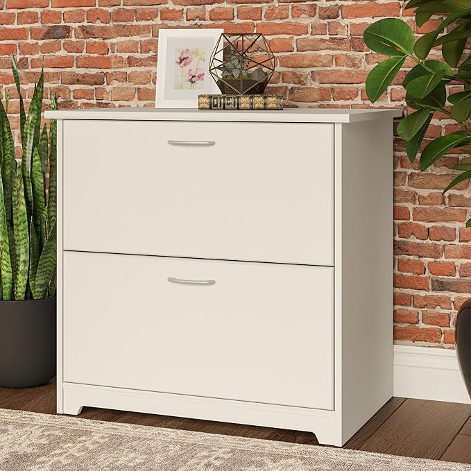 Bush Furniture Cabot 2 Drawer Lateral File Cabinet in White, Home Office Chest for Letter, Legal, and A4-size Document Storage-DeskLoop Office