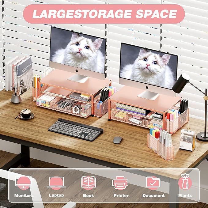 Desk Organizers and Accessories, 2-Tier Computer Monitor Stand with Drawer and 2 Pen Holders, Laptop Stand, Office Desk Accessories for Office Supplies, Rose Gold-DeskLoop Office