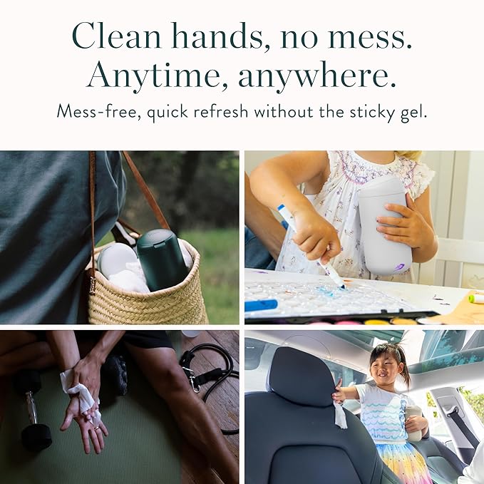 Biom Biodegradable Hand Sanitizing Mini Wipes 8-Pack Refill Kit - Kid-Safe | Plant-Based Hand Wipes for Home & Travel | Natural, Non-Toxic Wet Wipe with Aloe for Soft Skin | Eucalyptus Chill-DeskLoop Office