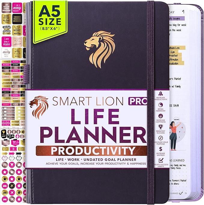 Life Planner - Undated Daily, Weekly & Monthly Planner with Budget Section | A 12 Month Journey to Increase Productivity & Happiness | Life Organizer & Gratitude Journal - Horizontal Format-DeskLoop Office