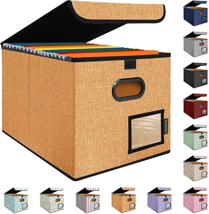 BALEINE File Organizer Box with Lid, Collapsible File Folder Organizer with Plastic Slide, Hanging File Folder Box for Office Document Storage (1 Pack, Orange)-DeskLoop Office