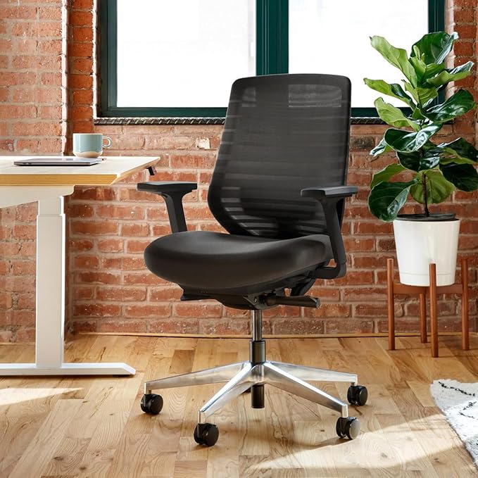 Branch Ergonomic Chair - A Versatile Desk Chair with Adjustable Lumbar Support, Breathable Mesh Backrest, and Smooth Wheels - Experience Optimal Comfort and Support - All Black-DeskLoop Office