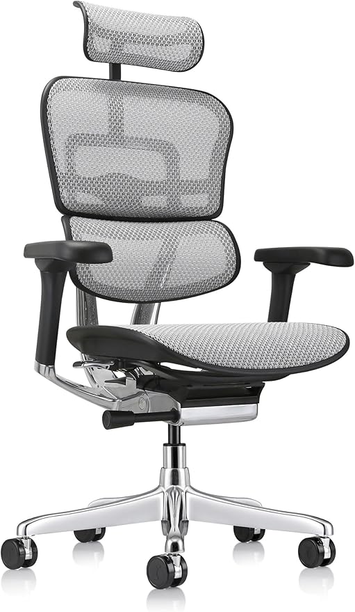 Ergohuman Eurotech ME7ERG GEN2 High Back Mesh Office Chair with Tilt Tension Control, Tilt Lock, Back Angle, Back Height, Synchro Tilt, Seat Height, Seat Depth, and Arm Height Adjustments, Grey-DeskLoop Office