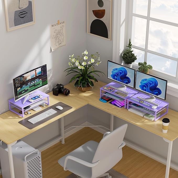 gianotter 2-Tier Metal Monitor Stand Riser, Office Desk Storage Organizer for Computer Monitor, Laptop, Printer, Office Supplies (Purple)-DeskLoop Office