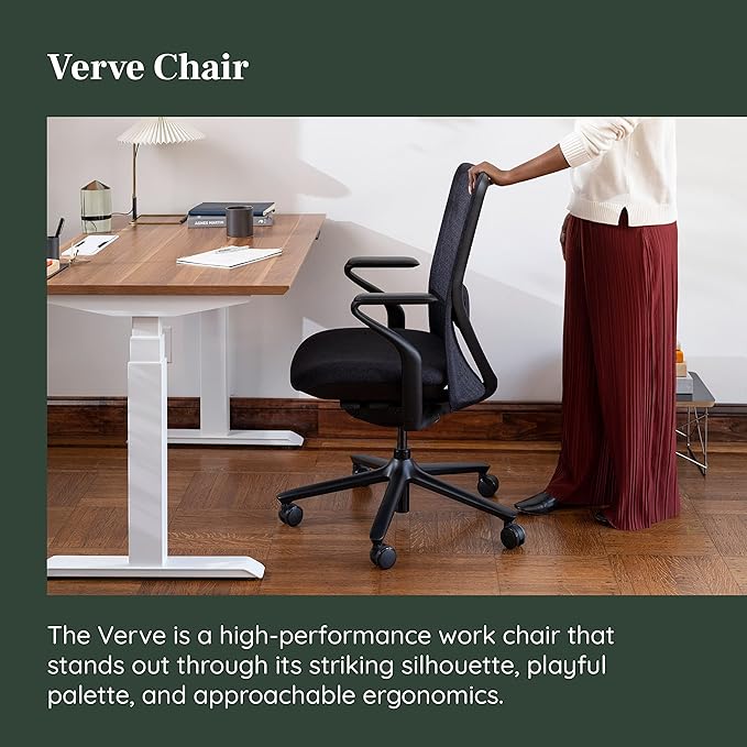 Branch Verve Chair - High Performance Executive Office Chair with Contoured Seat Back and Adjustable Lumbar Rest - High Density Foam Cushion with Aluminum Base - Up to 275 lbs - Galaxy-DeskLoop Office