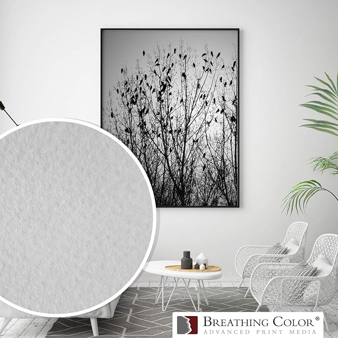 Elegance Velvet 17 in x 10 ft roll is a Premium Matte 310 gsm, Cold Pressed Bright White Museum Grade Fine Art Inkjet Paper, Compatible with Most Dye-Based and Pigment Printers-DeskLoop Office