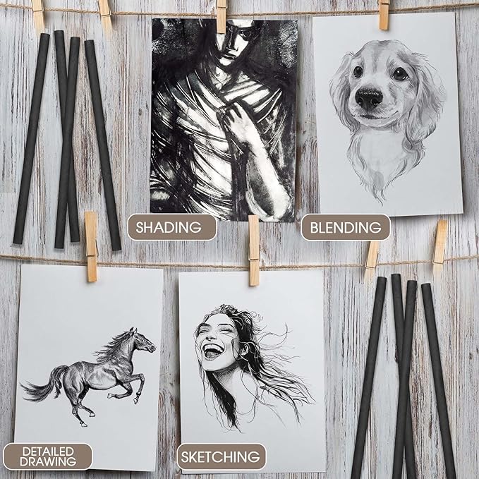 Gueevin 200 Pcs Willow Charcoal Sticks, Willow Charcoal, Artists, Beginners, Students, Perfect for Sketching, Drawing, Shading, and Fine Art (2-4mm,4-5mm,5-7mm,7-9mm)-DeskLoop Office