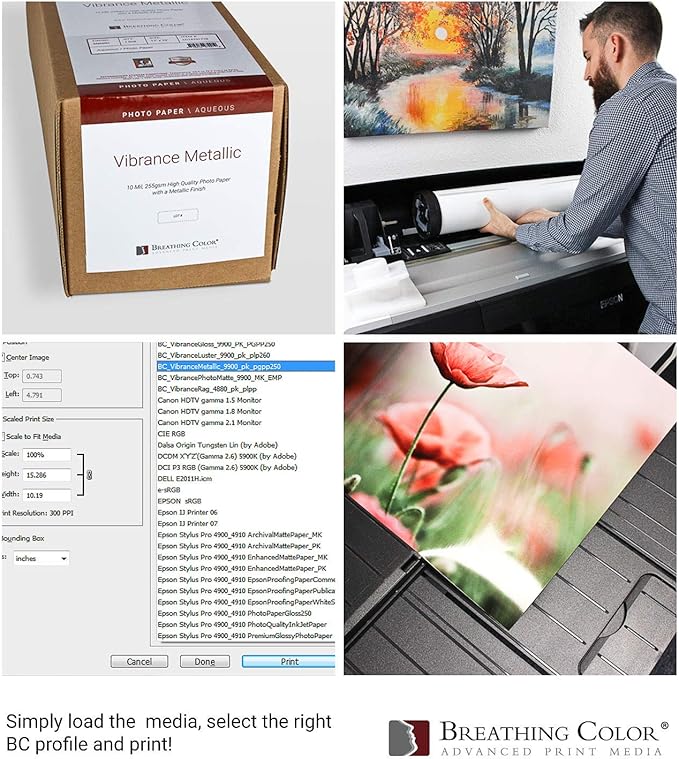 Vibrance Metallic Photo Printer Paper 10 mil 255 gsm Premium Photo Paper Sheets 17 x 22 inches 50 Sheets Works with All Inkjet Printers Including Professional Makes and Models Like Epson Canon HP-DeskLoop Office