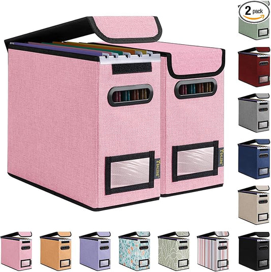 BALEINE File Organizer Box with Lid, Collapsible File Folder Organizer with Plastic Slide, Hanging File Folder Box for Office Document Storage (2 Pack, Pink, S)-DeskLoop Office