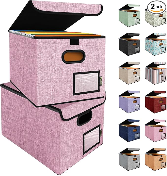 BALEINE File Organizer Box with Lid, Collapsible File Folder Organizer with Plastic Slide, Hanging File Folder Box for Office Document Storage (2 Pack, Pink)-DeskLoop Office